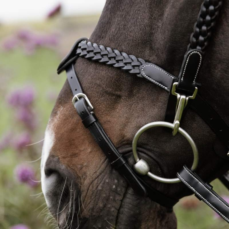 Bridle Plaited Training Working Collection Black