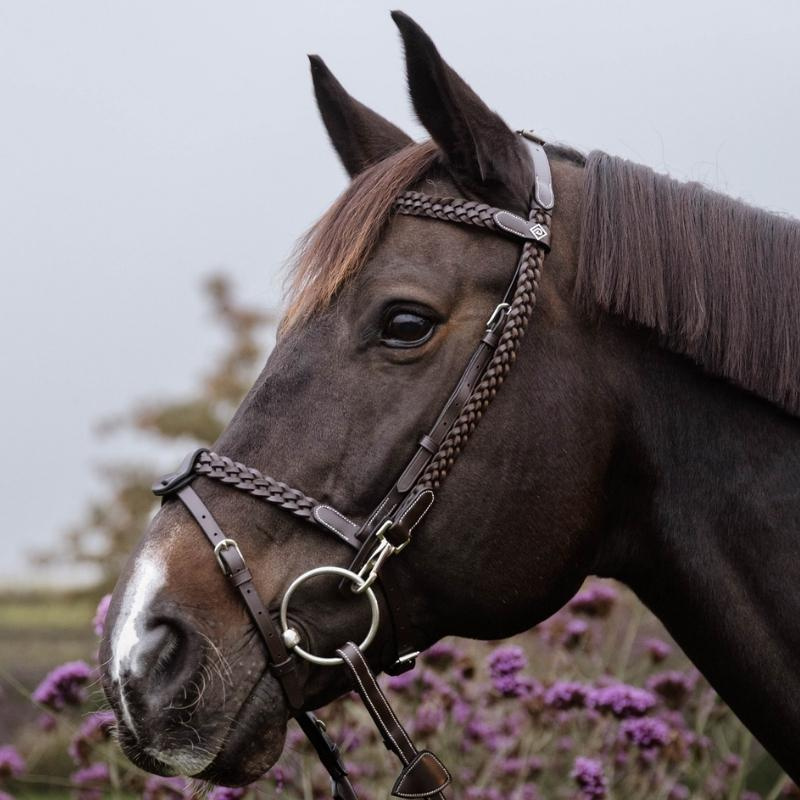 Bridle Plaited Training Working Collection Brown
