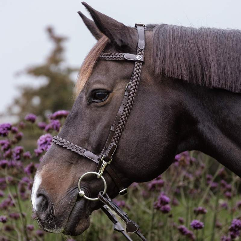 Bridle Plaited Training Working Collection Brown